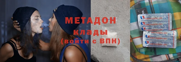 прущие грибы Козловка