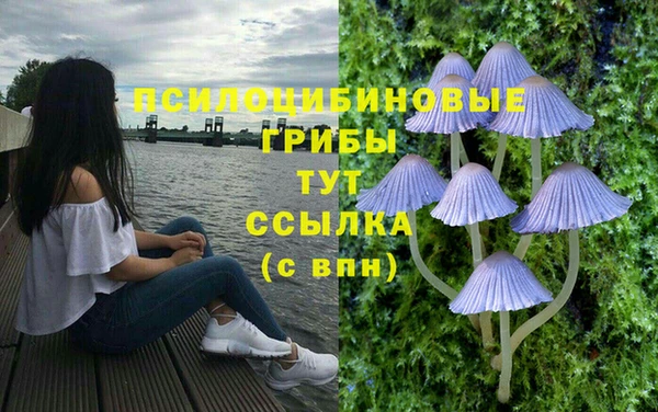 таблы Киреевск