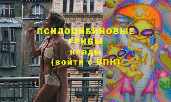 прущие грибы Козловка