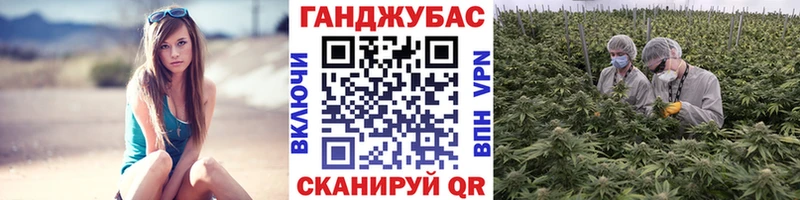 Бошки марихуана Bruce Banner купить Мелеуз